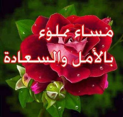 مساء الخير شعر بدوي نور المعلم